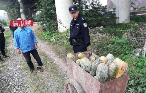 遂昌女老师吃瓜事件,校园风波背后的真相探寻