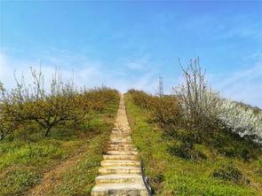 大竹网红基地在哪里,网红聚集地，潮流风向标