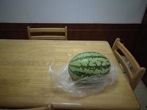 在屋子里吃瓜,夏日悠闲时光