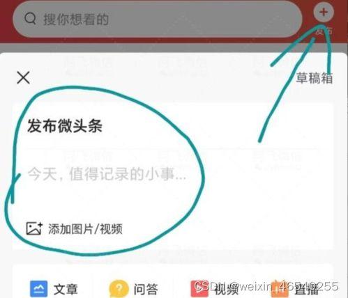 新人怎么发布微头条,轻松掌握微头条发布技巧