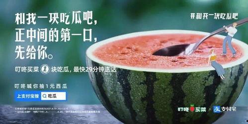 吃瓜空瓶的文案,揭秘吃瓜空瓶背后的趣味与智慧