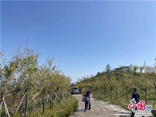 博乐吃瓜花果山,揭秘花果山背后的神秘故事