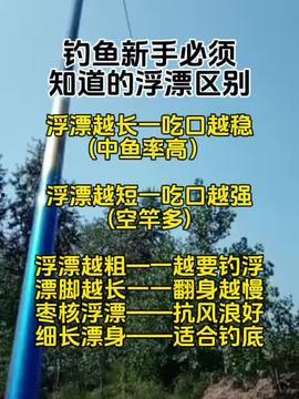 头条怎么钓鱼最厉害图片,从这张“钓鱼最厉害”图片学到的技巧
