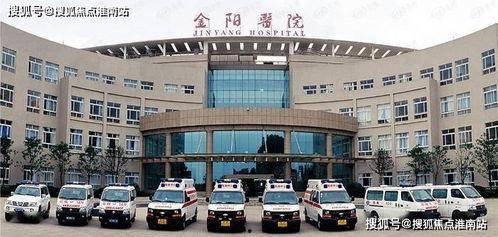 大连龙湖区新闻头条,聚焦发展新动态，共绘区域繁荣新蓝图