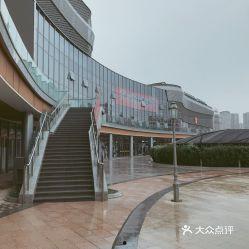 明星时代 大连,大连璀璨星河的崛起与辉煌