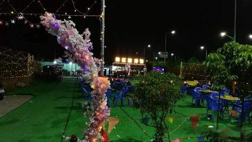 碣石的网红,揭秘网络新宠的璀璨魅力