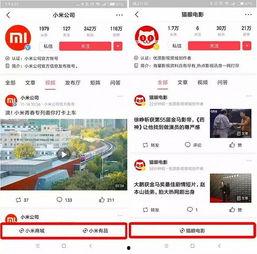 头条小程序交互,便捷互动，畅享资讯新体验